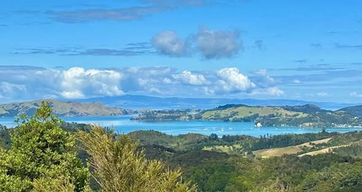 The Coromandel Loop -Summer Drive 